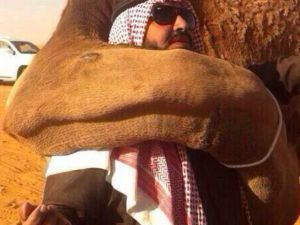 A camel identified its previous owner during a parade in Saudi Arabia this week, embracing the man by wrapping its neck around him. [Al Arabiya]