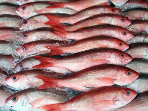 Tragedy befalls children who just wanted a bite to eat.