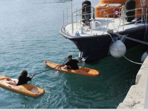 Canadian activists using Kayaks to prevent arrest or raid of their flotilla by the Greek coastal authorities (to no avail but a courageous effort). Photo courtesy of 'Desert Peace'.