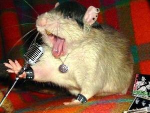 زي المطربين اللي عن جد