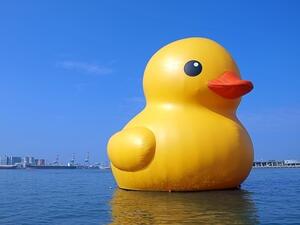 UAE residents are on the lookout for Dubai's giant rubber duck that has gone missing...at least for now, says the company behind the giant quacker, Geowash (Shutterstock)