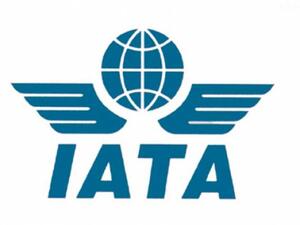 International Air Transport Association 