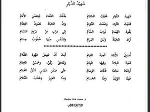 شهيد الديار بديلا عن حماة الديار 