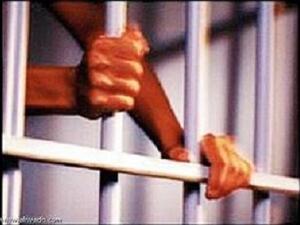 خلف القضبان