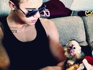 Justin Bieber had to leave a monkey in quarantine after landing in Germany last week without the necessary papers for the animal, an official said Saturday.