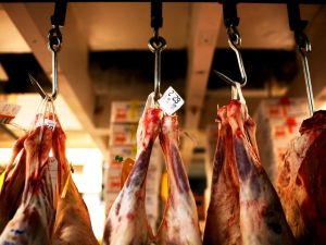 Friends in Kosher and Halal: Jews and Muslims bond over ritualistic lamb slaughter.