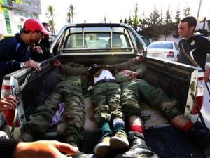 اسرى جرحى من قوات القذافي على ظهر مركبة امام مستشفى في مصراتة 
