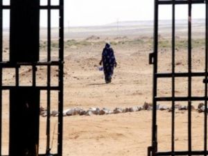 البوليساريو: قرار المغرب سحب ثقته من كريستوفر روس "لا اساس له" 