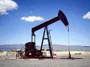 Country will be “lucky to go past” its current oil production of about 9 mbpd by 2020
