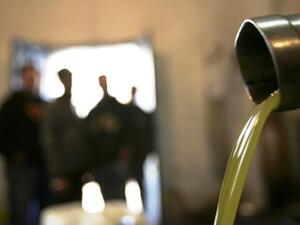 Libya is trying to diversify its economy into the green gold of olive oil