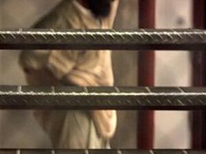 To eat or not to eat?