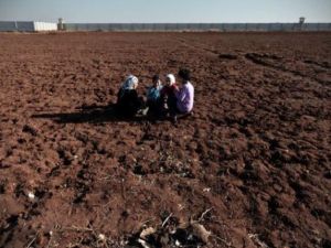 نزوح اللاجئين السوريين يزيد الضغط لاقامة منطقة عازلة 