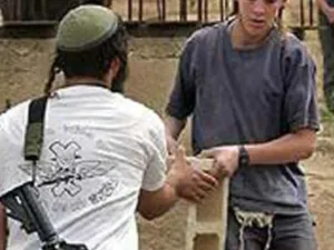 مستوطنون إسرائيليون ينفذون أعمالا تخريبية في قرية فلسطينية   