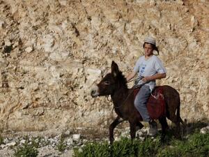 مستوطن اسرائيلي يركب حماره في مستوطنة بيت الجويش قرب رام الله 
