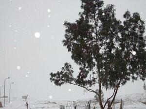 ثلوج تكسو مساحات واسعة من شبه جزيرة سيناء