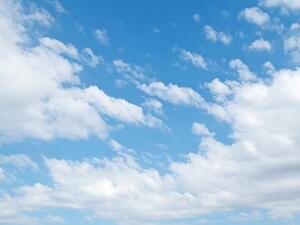 Human body parts fell on Jeddah from the plane's landing gear Sunday (Shutterstock)