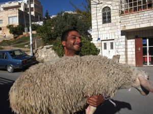 The number of animals for slaughter rises during the holiday period. Vets are educating the public on the risk of slaughtering
infected animals. Slaughterhouse does not equate to slaughtering in-house or at home.