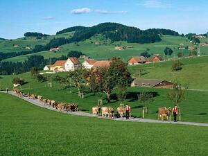 Located in the heart of Swiss Alps, the luxurious resort of Crans-Montana enjoyed the same trend with a remarkable increase of 42.86 percent in overnights produced by travelers from the Gulf