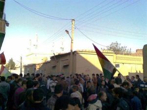 متظاهرون في عامودا
