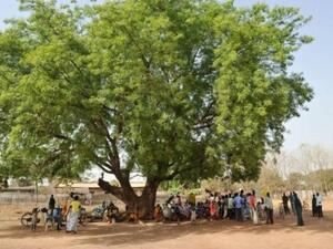 Around 1,500 saplings were planted at the university on Saturday as part of the initiative.