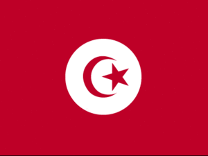 Tunisia's national flag