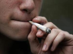 Many Lebanese are OK with marijuana being legalized 