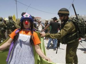 اعتقال ناشطين اسرائيليين واجانب في الضفة الغربية
