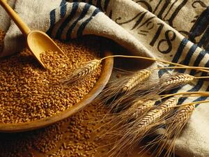 Analysis of exports composition shows that petrochemicals regained dominance as the top nonoil export category