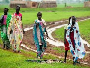 Sudan is seeking to strengthen economic ties with Nigeria, especially in areas such as agriculture