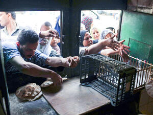 مصر ستصل بعد 13 عاما إلى العجز المطلق في المياه 
