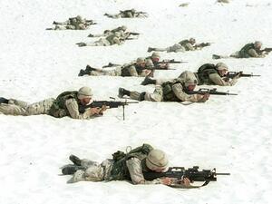 مناورات النجم الساطع في مصر وهي الأكبر من نوعها في المنطقة  