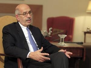 السياسي المصري البارز محمد البرادعي