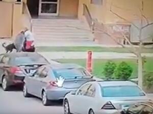 صورة ماخوذة من مقطع الفيدو 