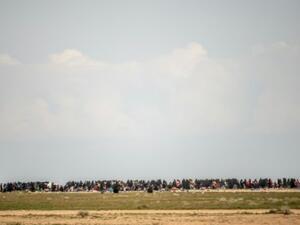 نساء وأطفال ينتظرون في حقل بعد فرارهم من الباغوز آخر معقل لتنظيم الدولة الاسلامية في سوريا

