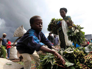 نحو 152 مليون طفل في العالم يجبرون على العمل.