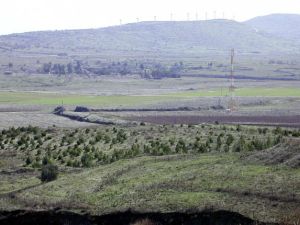 مرتفعات الجولان السورية المحتلة/ارشيف