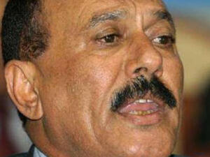 Ali Saleh