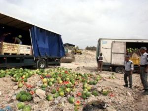 المستوطنون داء سرطاني 