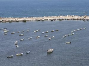 ن المتوقع أن يصل أسطول السفن إلى وجهته في غزة بعد 24 ساعة من تحركه