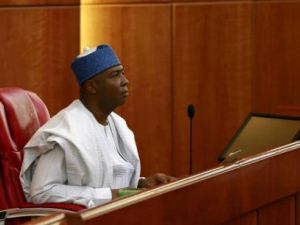 رئيس مجلس الشيوخ بوكولا ساراكي
