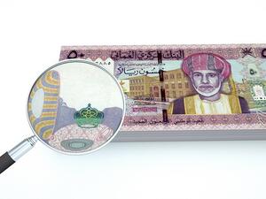 The new system is designed to automatically detect late or non-payment of salaries to employees in the private sector. (Shutterstock) 