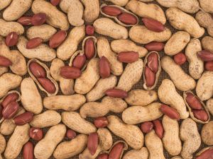 A Dubai supermarket was shut down after a video showing a worker standing in peanuts with bare feet was sent to food inspection authorities. (Shutterstock)