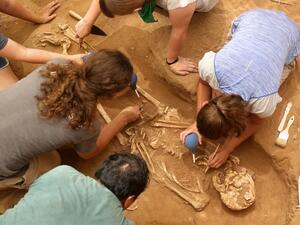 A team of archaeologists extract skeletons at the excavation site of the first Philistine cemetery ever found on June 28, 2016, in Ashkelon. (AFP/Menahem Kahana)