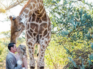 (Stephanie Norman Photography)