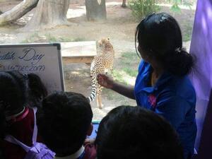 منتجع وحديقة الامارات للحيوانات