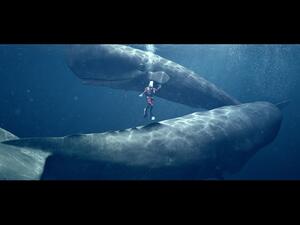 يحتفل الفيديو الإعلاني بالتركيز على سحر جسم الإنسان ومقدار تفوقه في ظروف متنوعة.