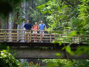 تكتسب سنغافورة شهرة على مستوى العالم بفضل التجارب التي تقدمها ومنها حدائق سنغافورة النباتية وحديقة الحيوانات الأفضل في العالم.