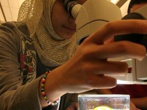 A researcher in the lab