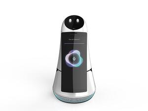 روبوتات إل جي