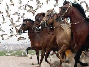 Andares photo art exhibition